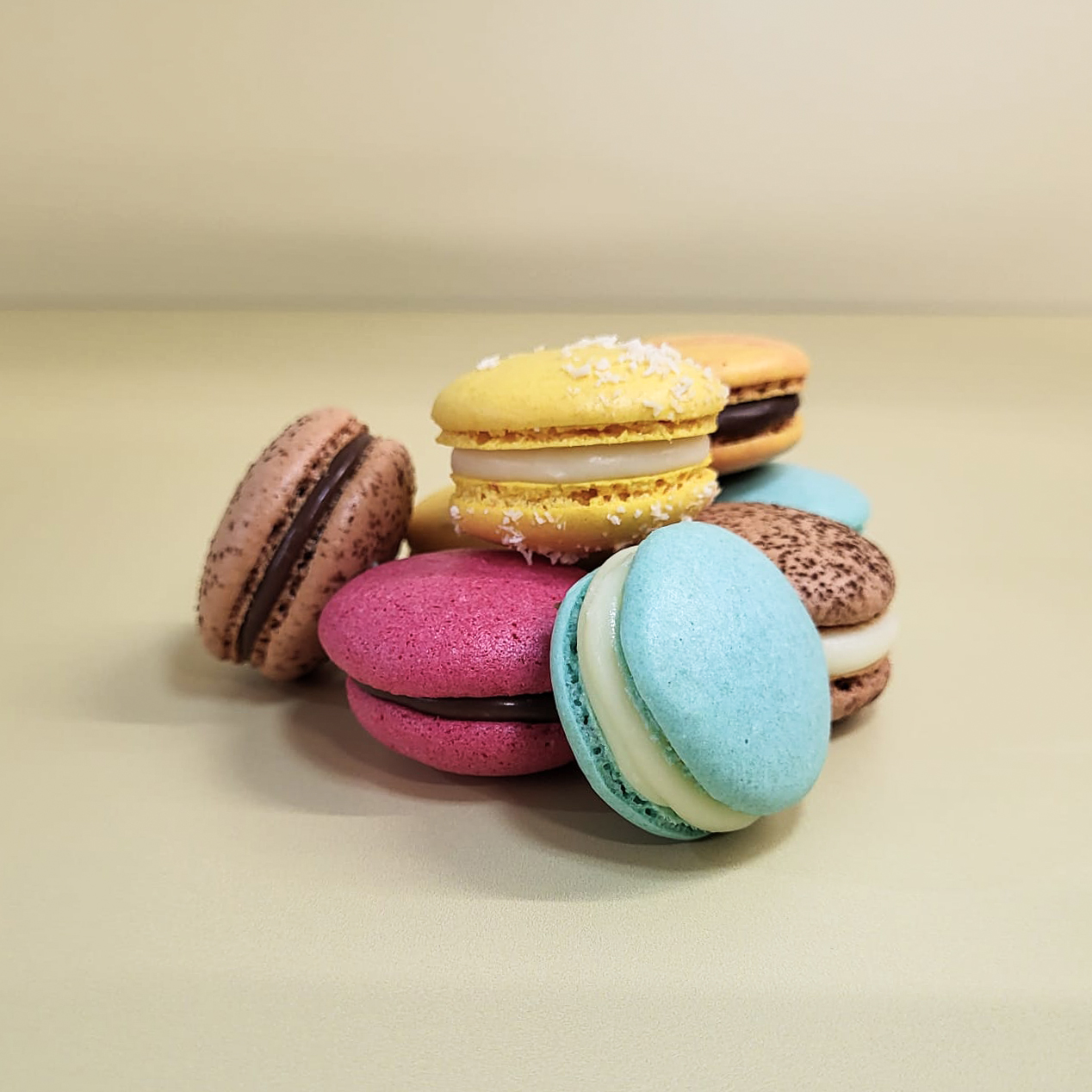 Macarons von der Bäckerei Konditorei Schell